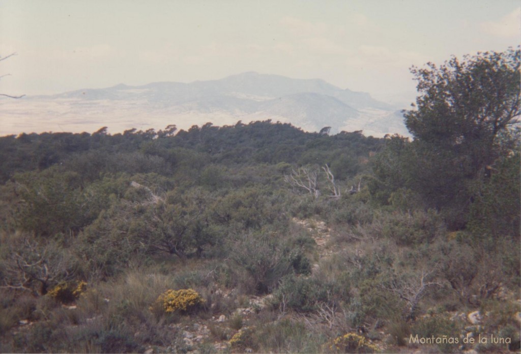 Extensa planicie cimera de la Sierra de Salinas, al fondo la Sierra del Carche